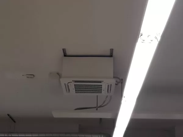 Fankolas